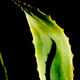 JB PHOTOART - 100820_018_E 30