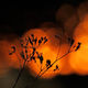 JB PHOTOART - 110528_114_E 5