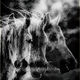 JB PHOTOART - 140323_100_1