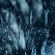 JB PHOTOART - 20140223_07_1