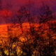 JB PHOTOART - 20140224_23