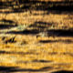 JB PHOTOART - 20151214_118_1