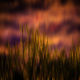 JB PHOTOART - 20160412_018_PS_1