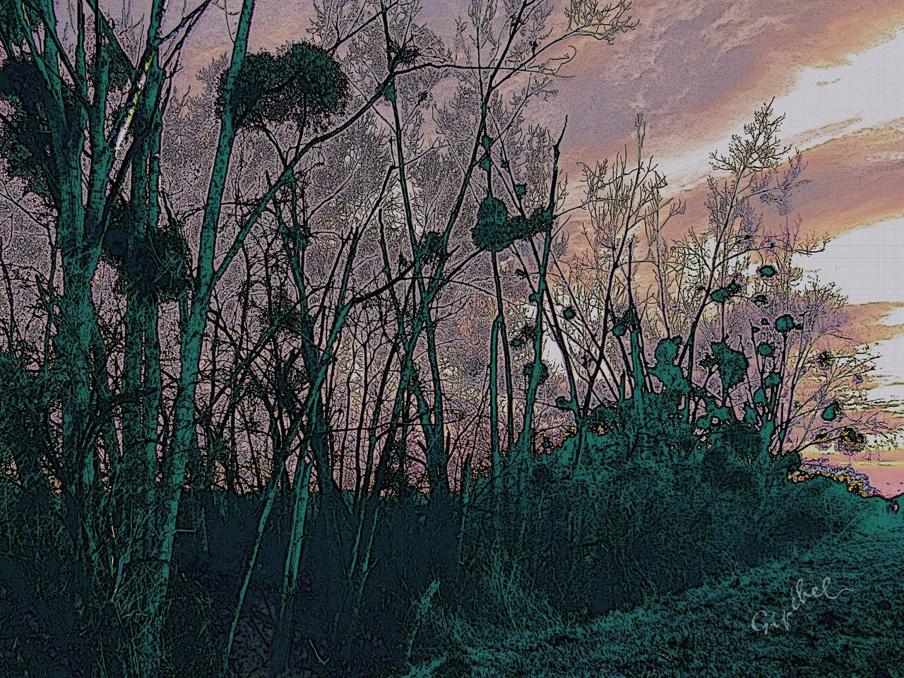 Jean-Paul Lecoeuvre (Gipehel) arbres au crépuscule