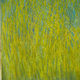 Jean Paul Prado - l'herbe jaune