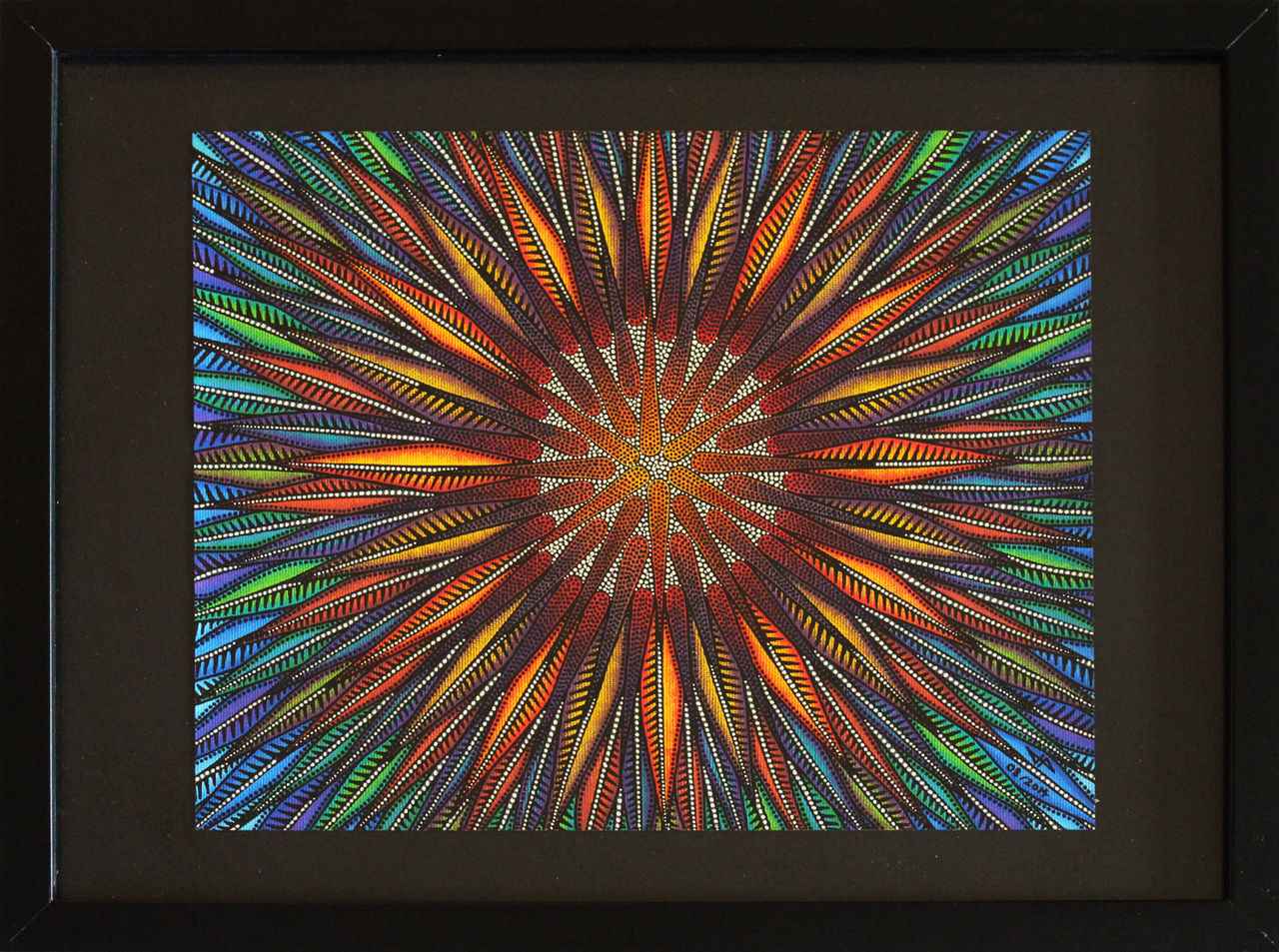 Jonathan-Pradillon Tournesol