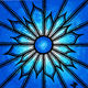 Jonathan-Pradillon - Fleur bleue