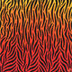 Jonathan-Pradillon - Peau de Tigre