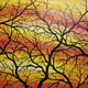 Jonathan-Pradillon - Silhouettes de branches