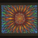 Jonathan-Pradillon - Tournesol