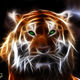 Maeve Photos - fractalus tiger