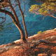 Nellie © - mer 2