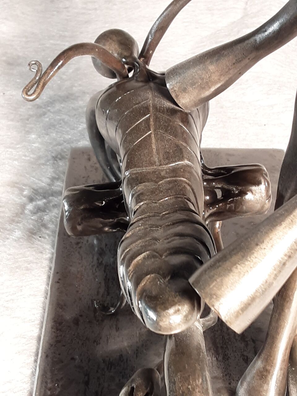 Nico 20250707_165635