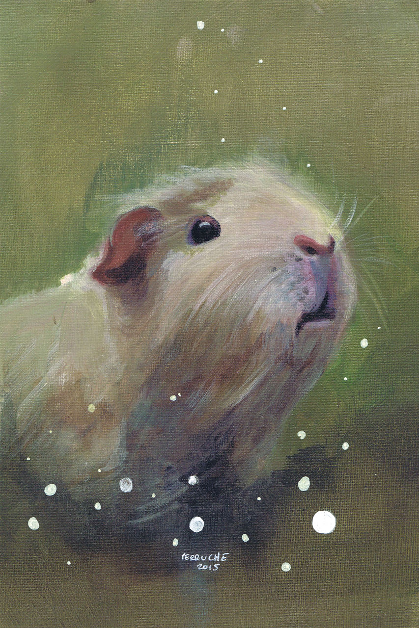 Nicolas Perruche hamster