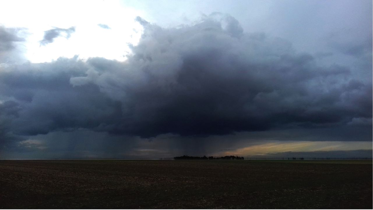 Niklas DC Au milieu des grandes plaines. 