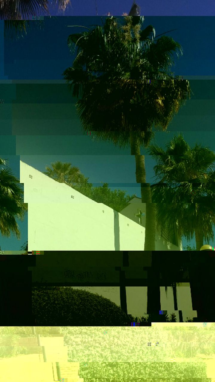 Niklas DC Palm garden 