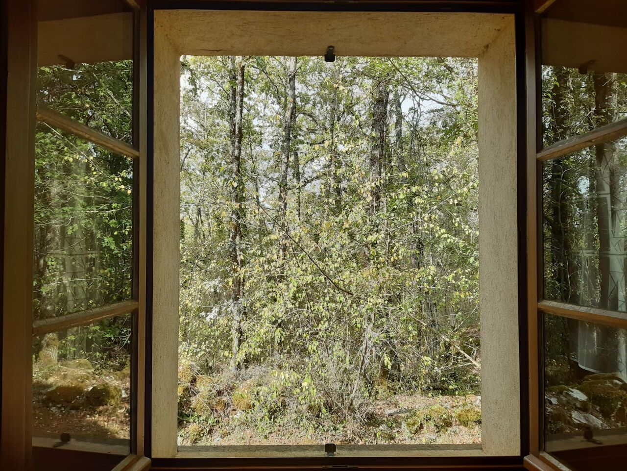 Niklas DC wob-window 