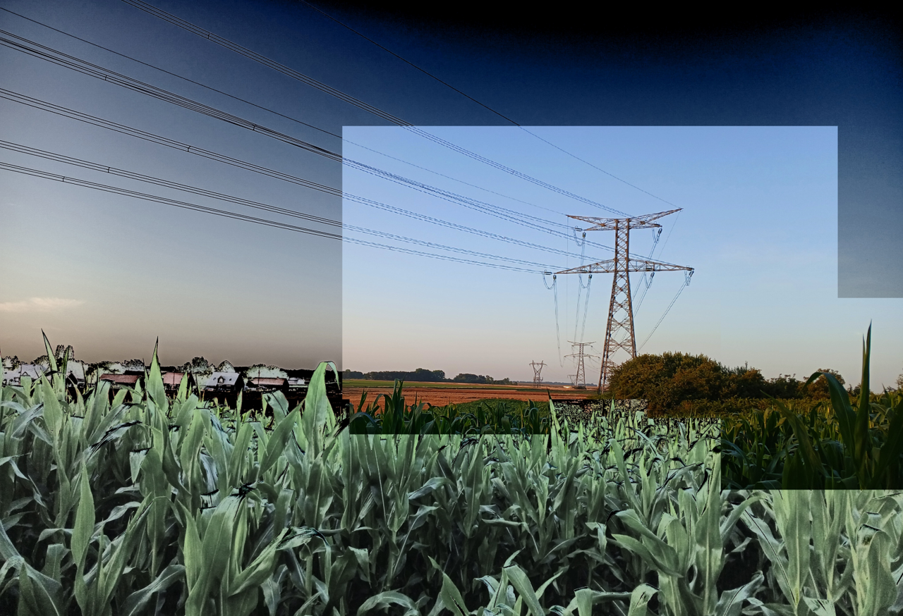 Niklas DC Morning routine