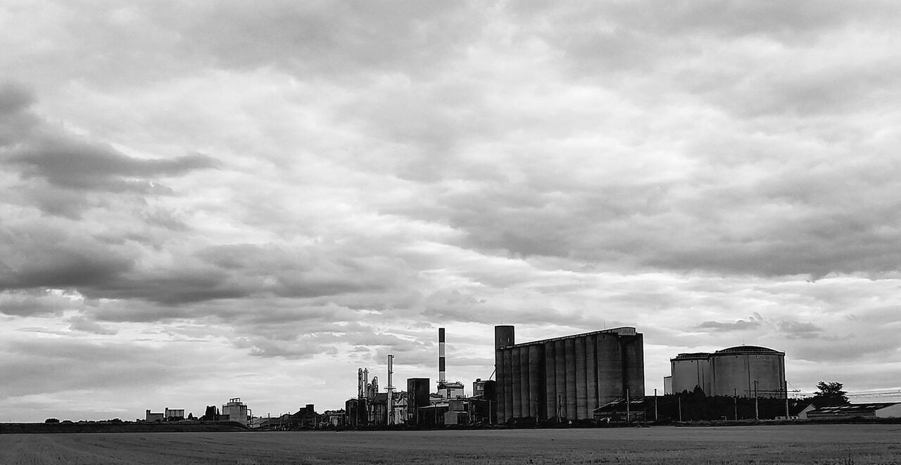 Niklas DC Sugar Factory 