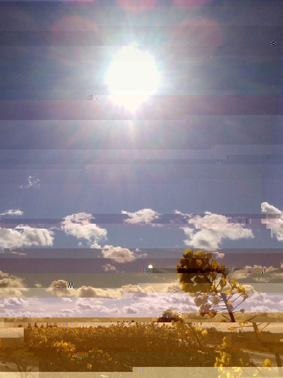 Niklas DC Après midi dans le lowland