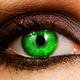 Phil Photos - Green eye