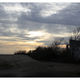 Suzy B. - Sunset
