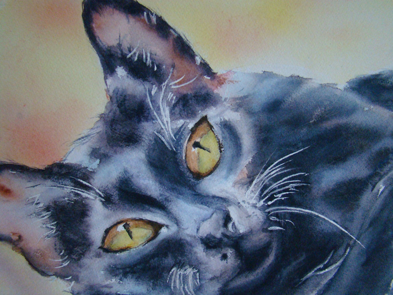 Sylviane MOREL CHAT NOIR aquarelle
