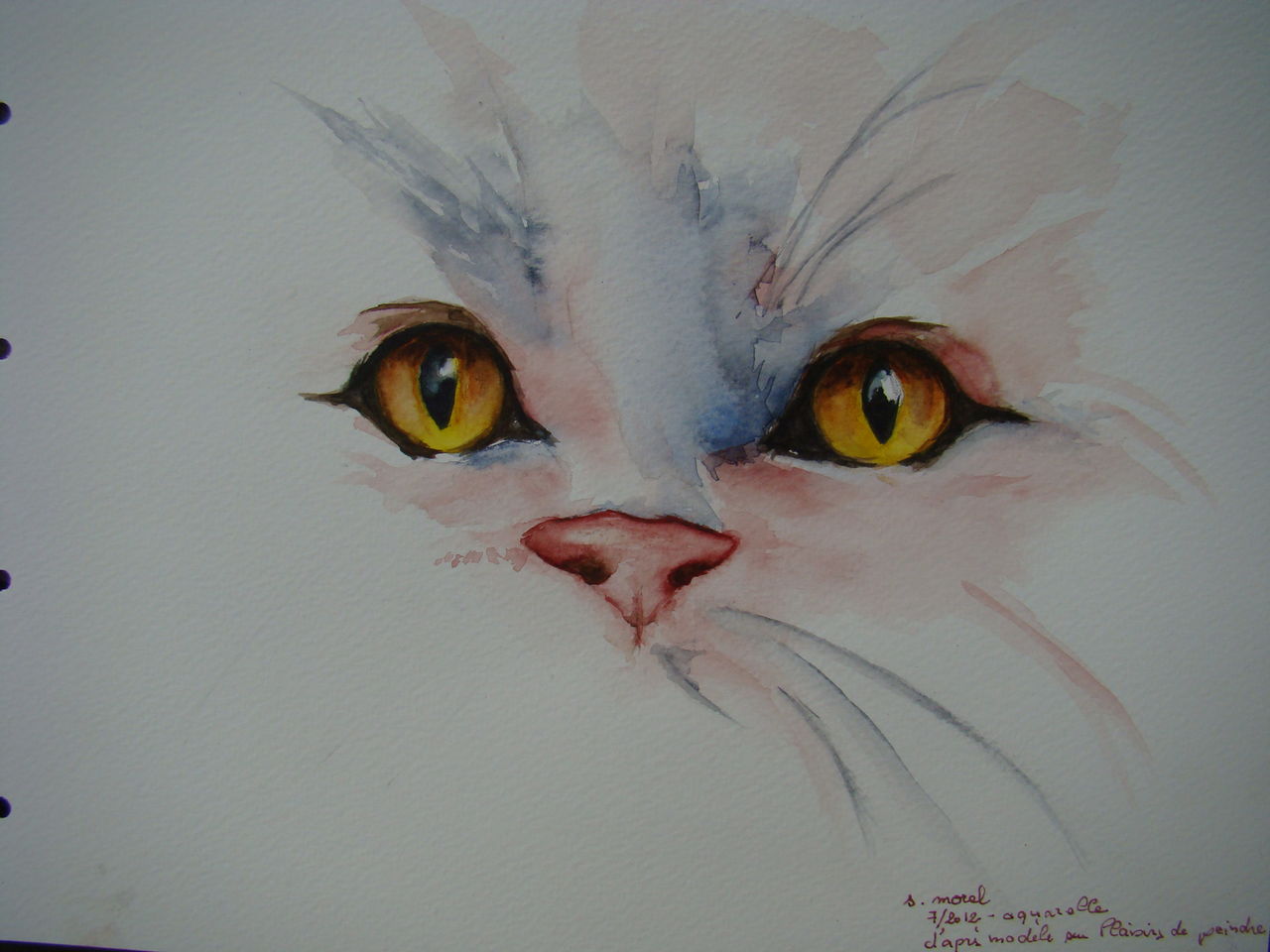 Sylviane MOREL Yeux de CHAT