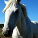 tatisse - DSC03347
