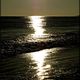tatisse - DSC00275
