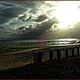 tatisse - DSC00339