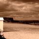 tatisse - DSC02772