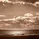 tatisse - DSC02873
