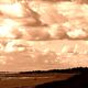 tatisse - DSC02884