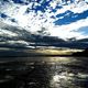 tatisse - DSC03216