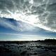tatisse - DSC03418