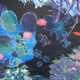 valerie jouve - le poisson rouge