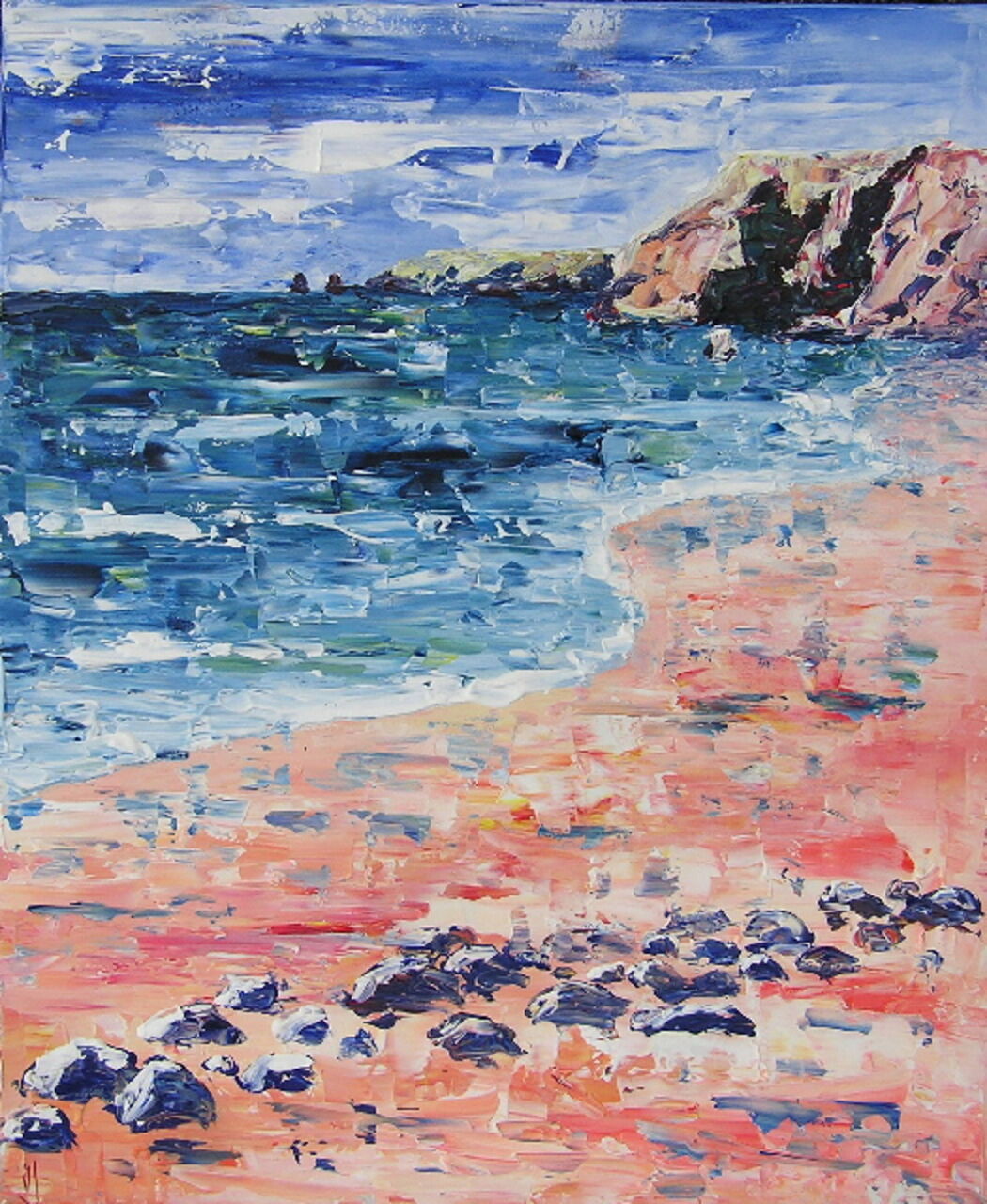 valerie jouve QUIBERON, LA COTE  SAUVAGE 