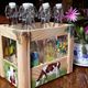 YolandedeComblesdeNayves - casier de bouteilles en verre