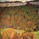 YolandedeComblesdeNayves - 167- couleurs d'automne sur le Risoux