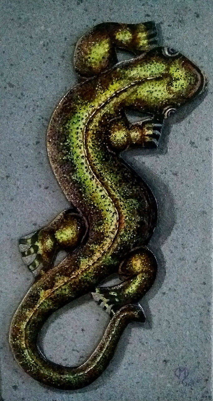 yves molac salamandre 02